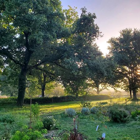 La Villauvert - Cottage Saint-Martin-sur-Oust Exteriér fotografie